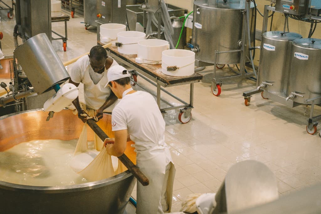 World's third largest cheese company boosts savings by 15%